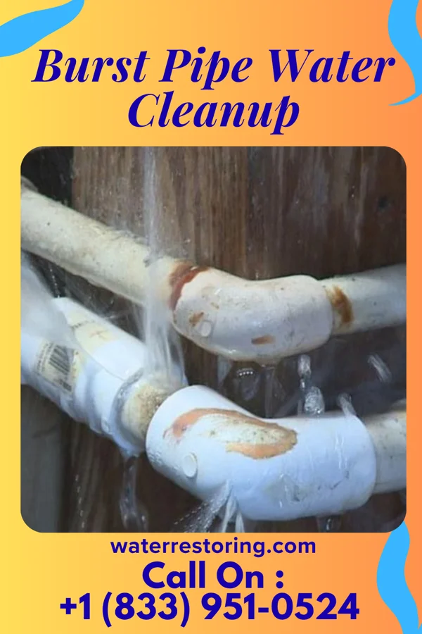 Burst Pipe Water Cleanup in Crewe, VA