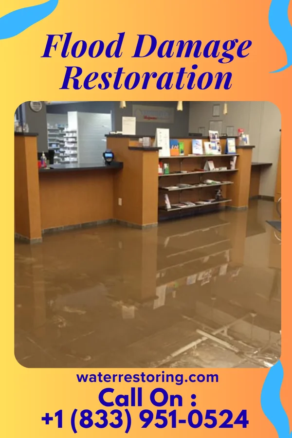 Flood Damage Restoration in Crewe, VA