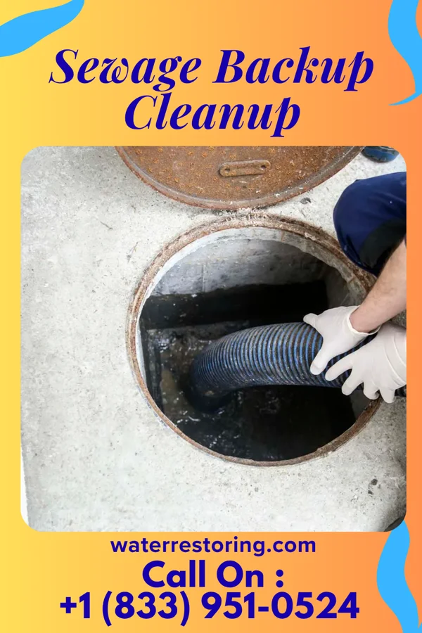 Sewage Backup Cleanup in Crewe, VA