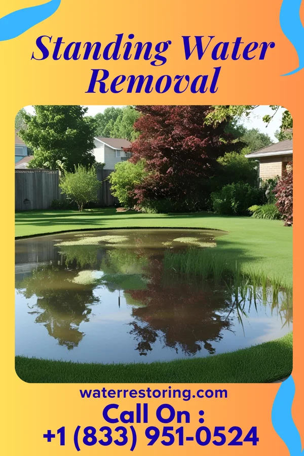 Standing Water Removal in Crewe, VA